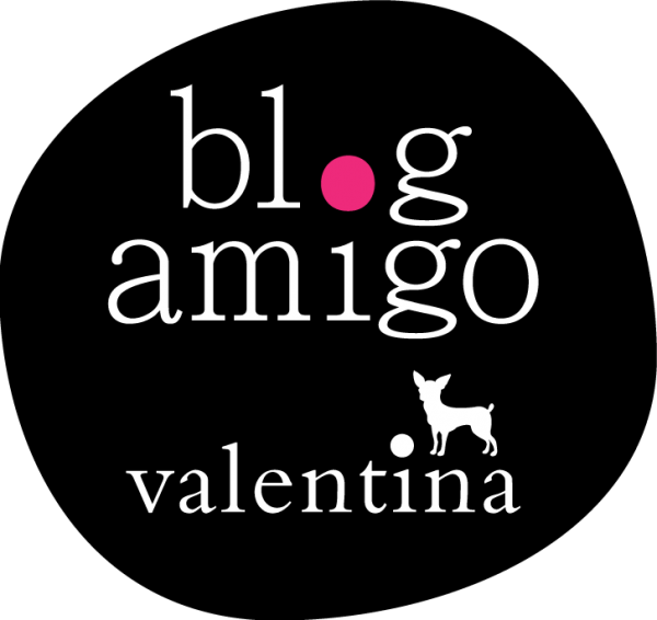 BlogAmigo-selo2014-15